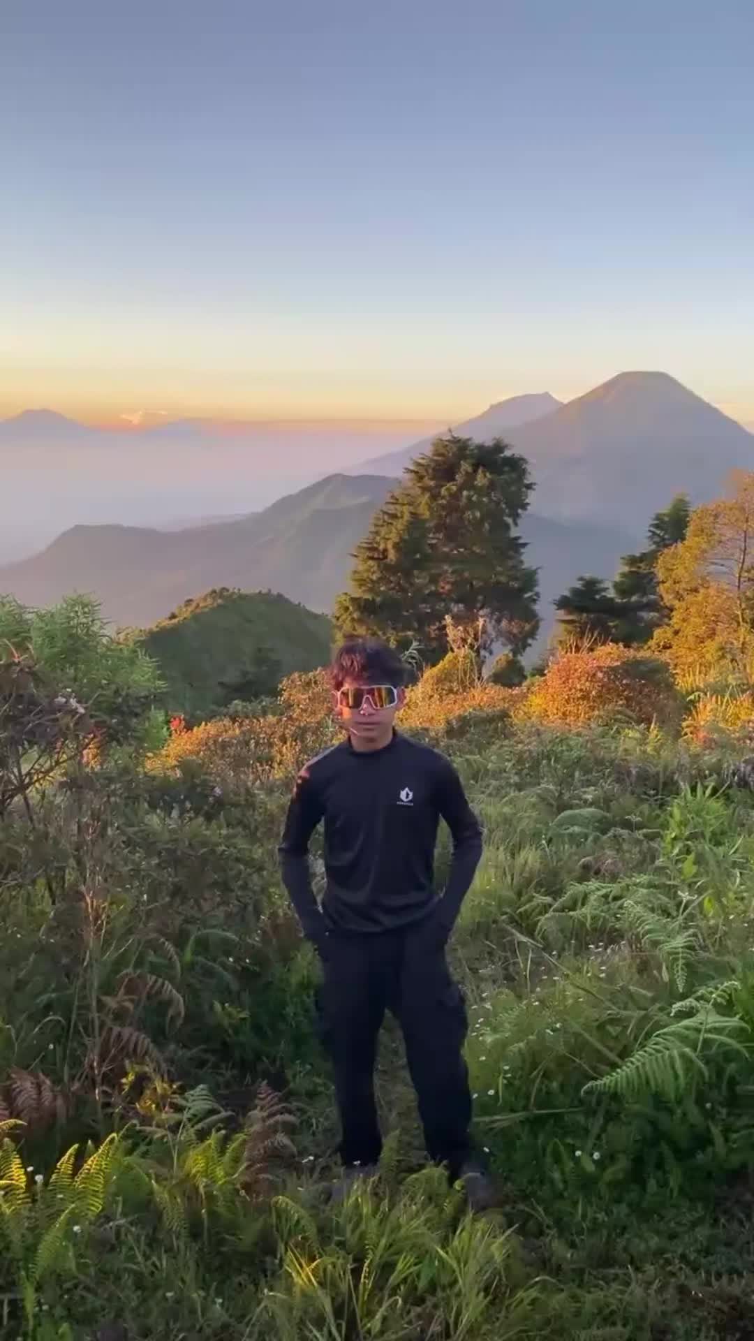 @Rezapalepy