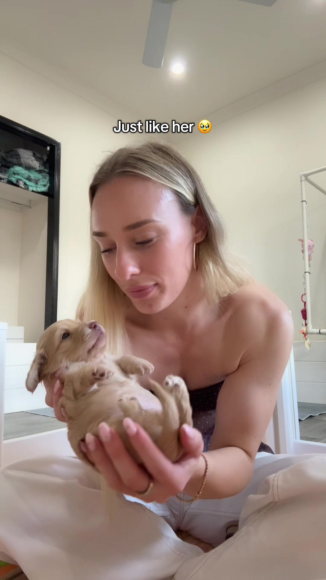 @Dachshund Dynasty