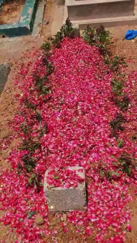 @Iqra Multani