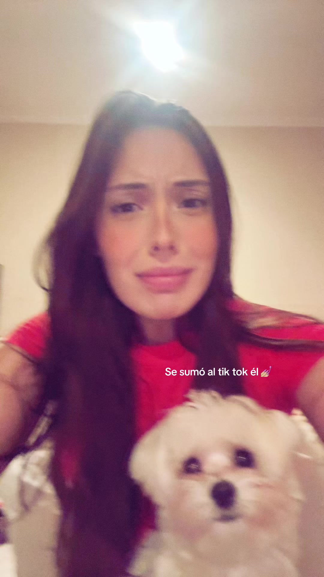@camidelucaok