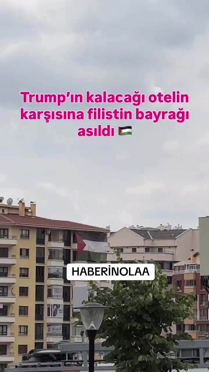 @haberinolaa