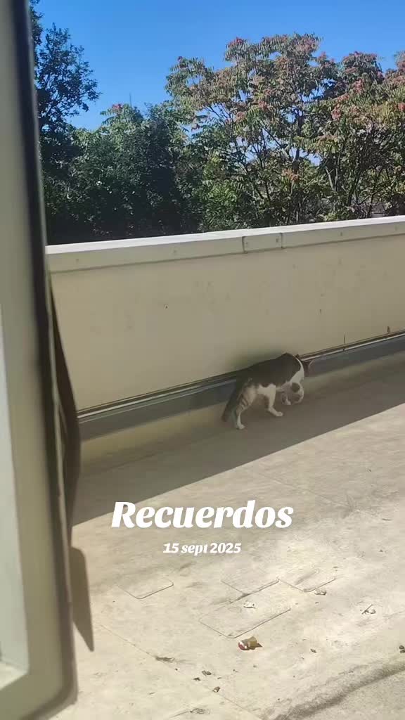 @Amor de dios
