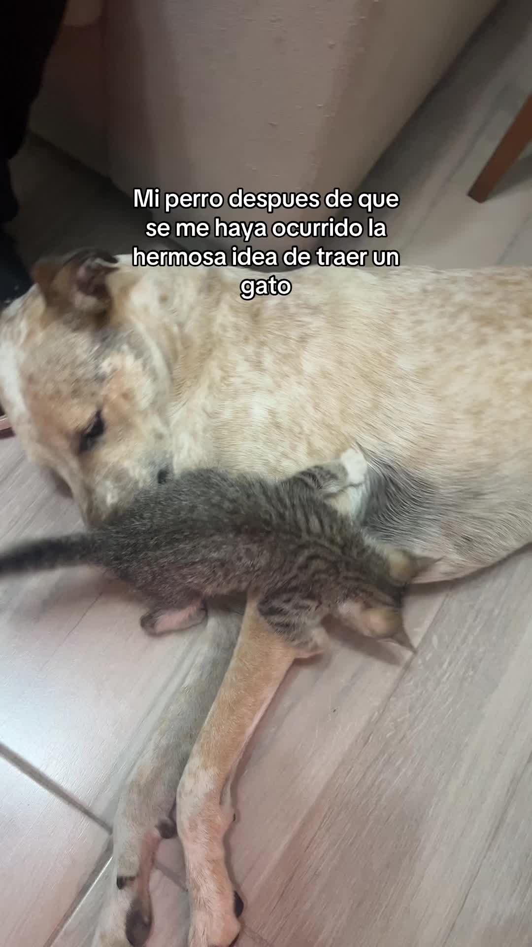 @Josefina