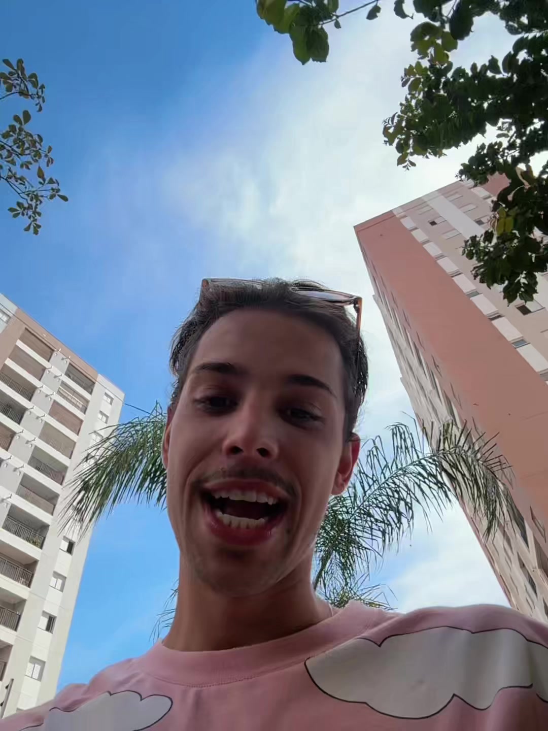@_dantas02 🦗