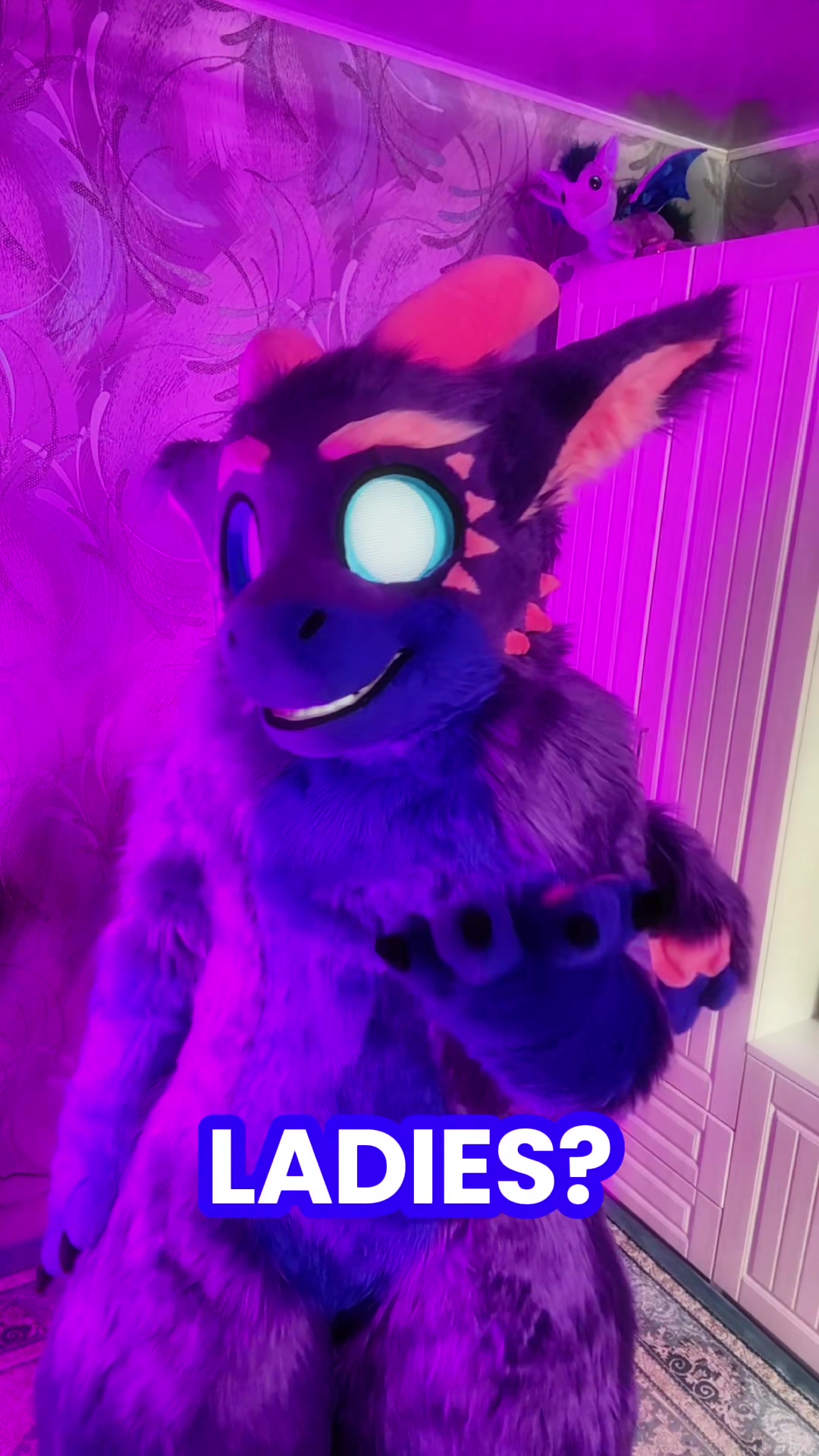 @🍇💠«𝓥𝓪𝓲𝓵 »💠🍇