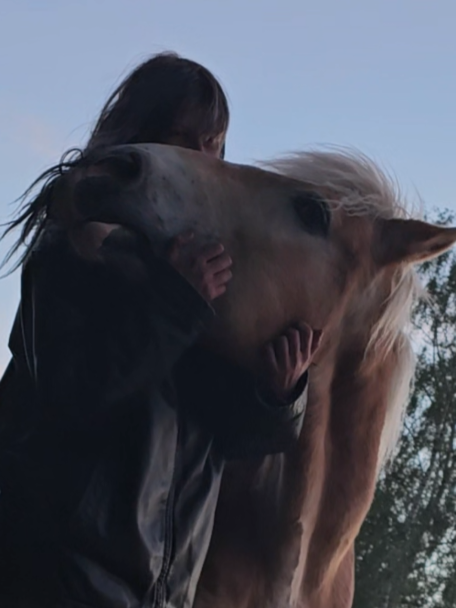 @Dino and horses