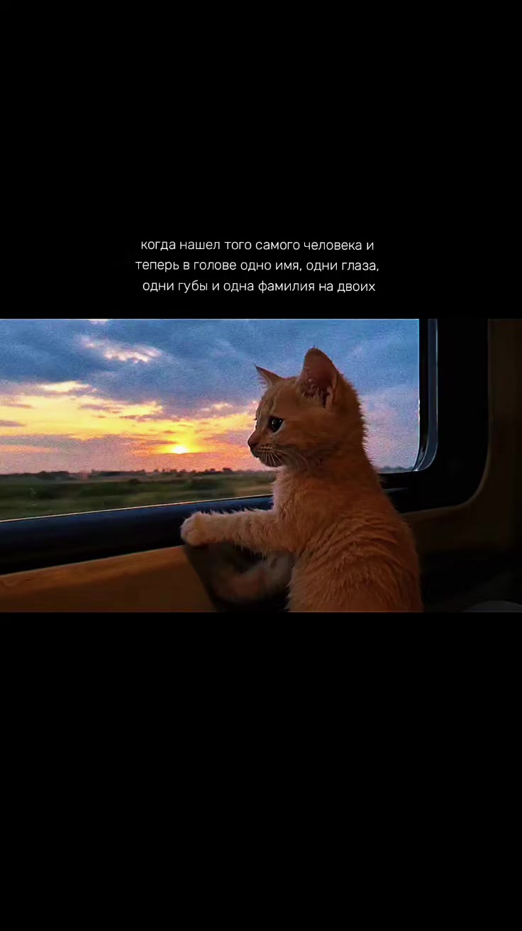 @жизнь в репостах