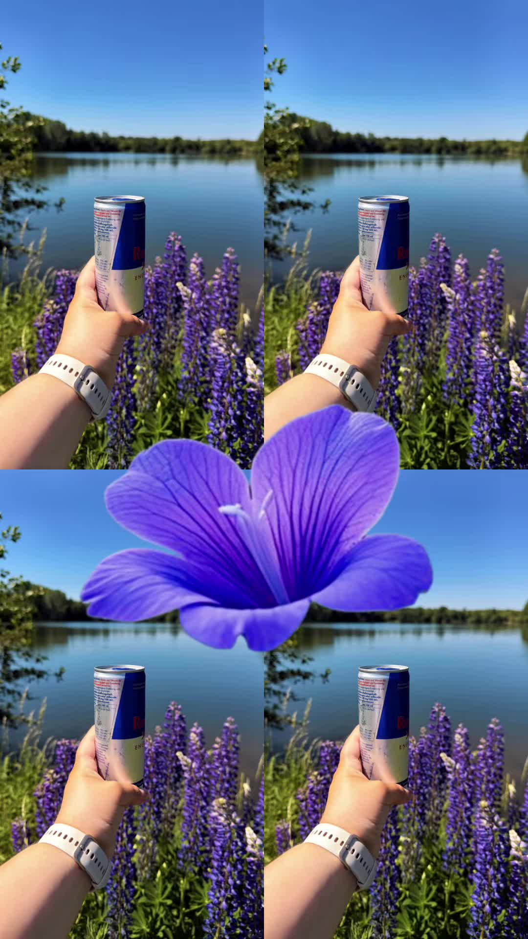 @Merel&ensp;H&uuml;seyinova🎀