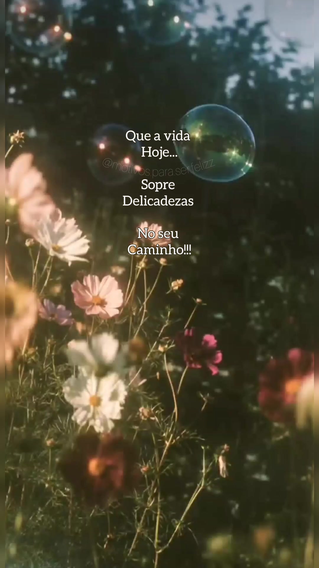 @Motivos para ser feliz