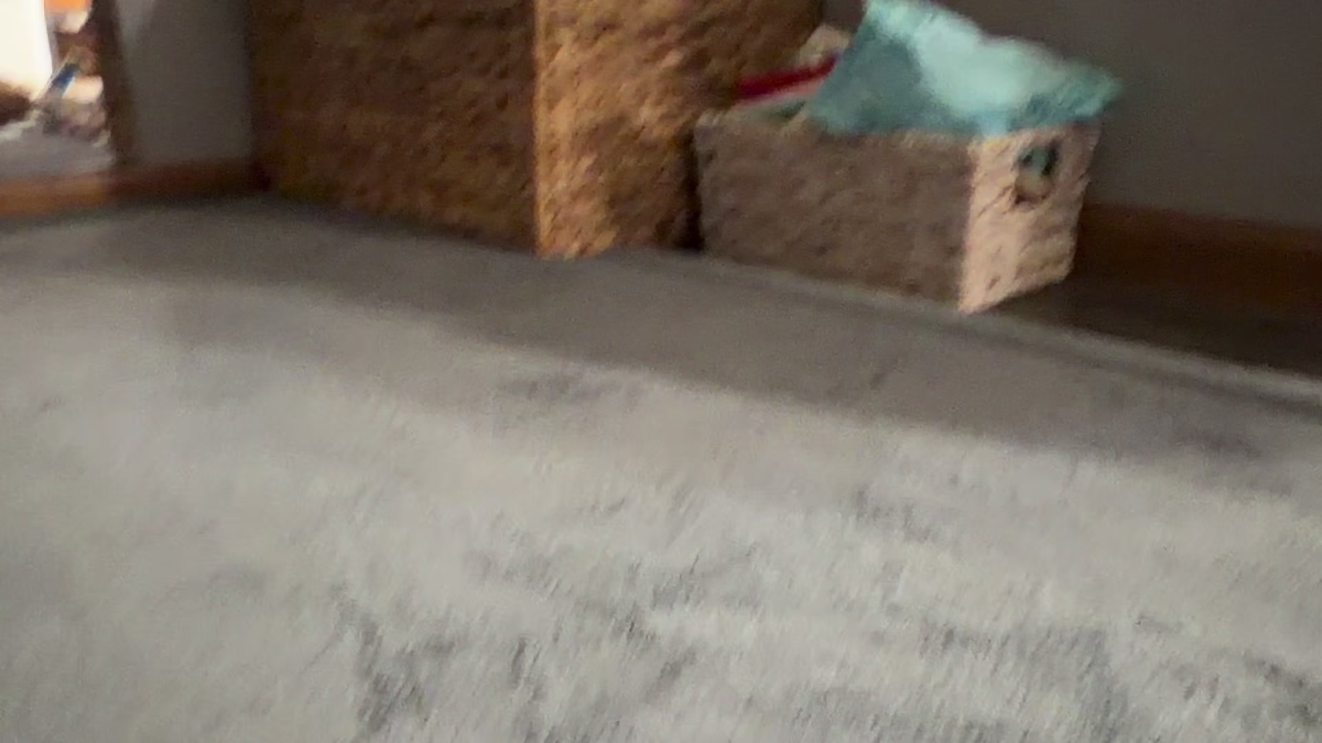 @stephallisonS