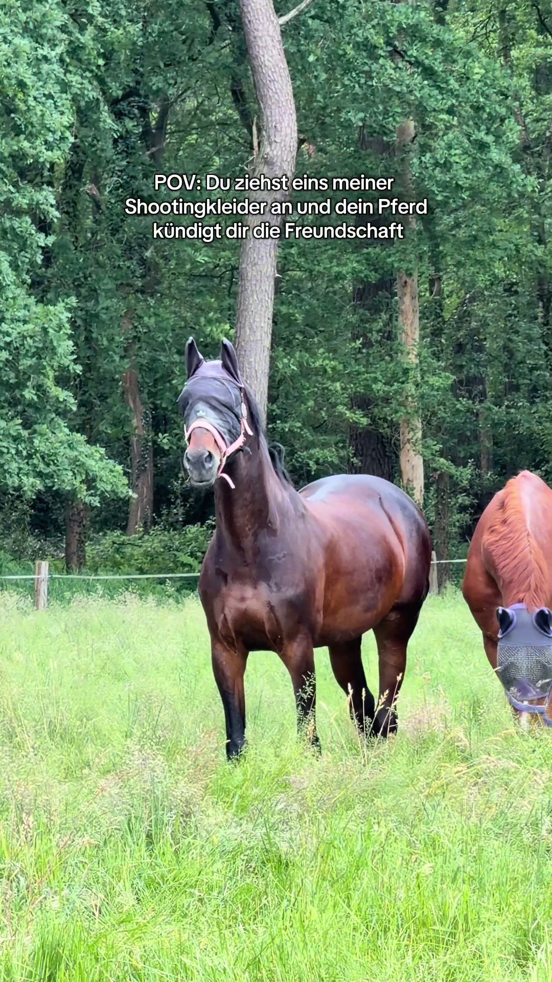 @mialian_lens Fotografie