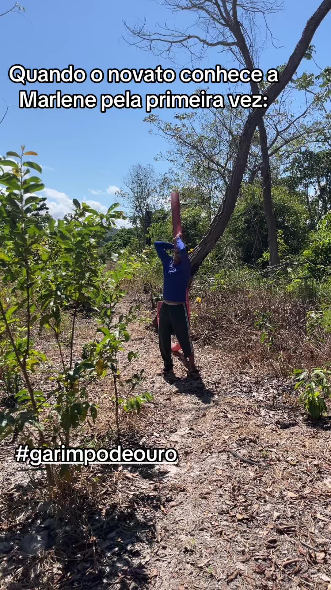 @Enilson Mendonca