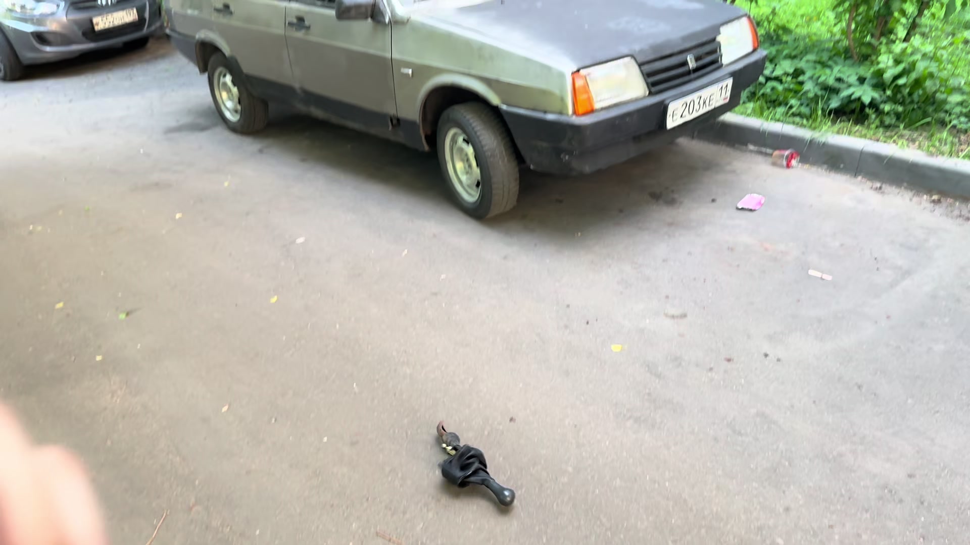@Tgk:Московский Кайовод