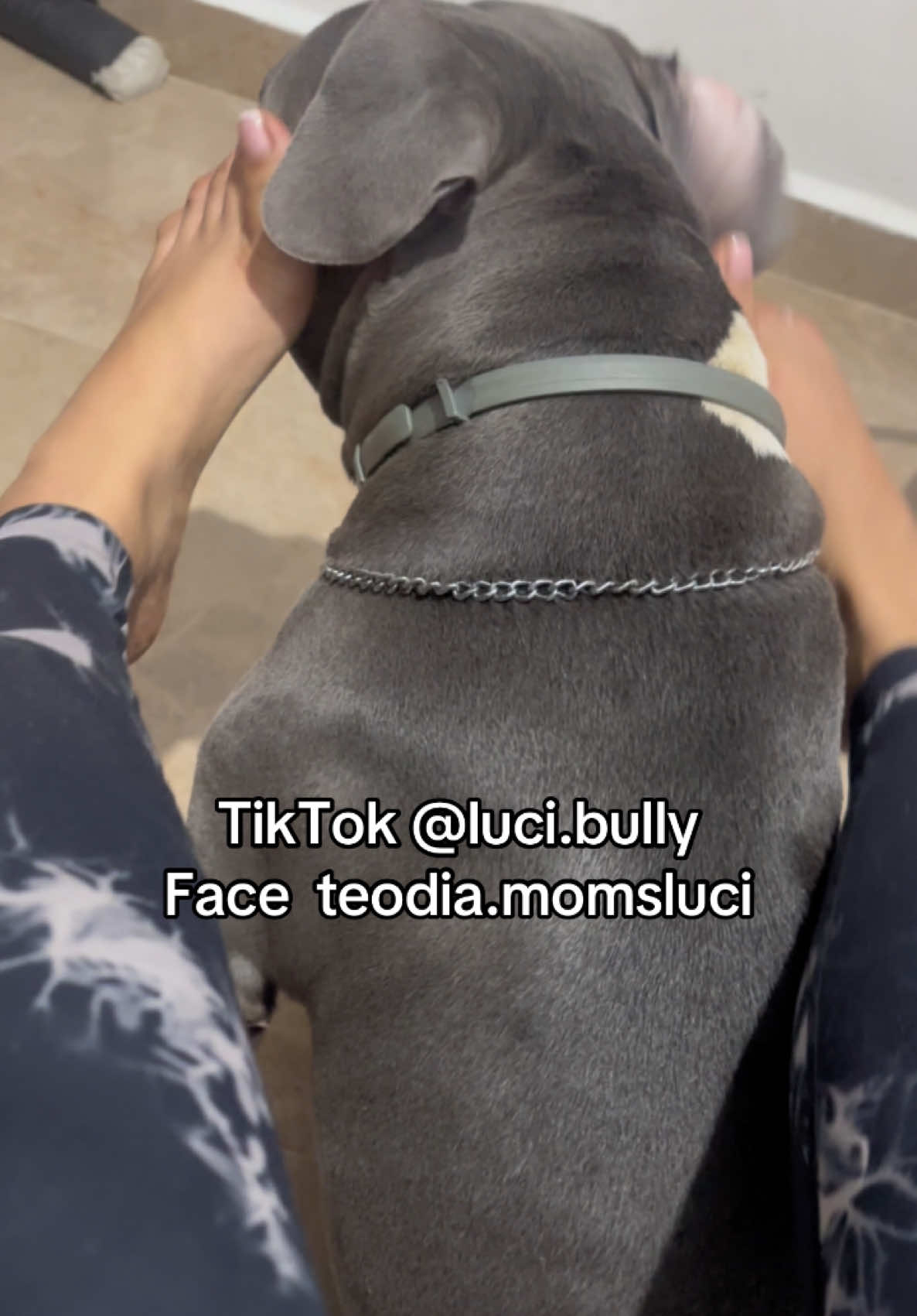 @luci.bully