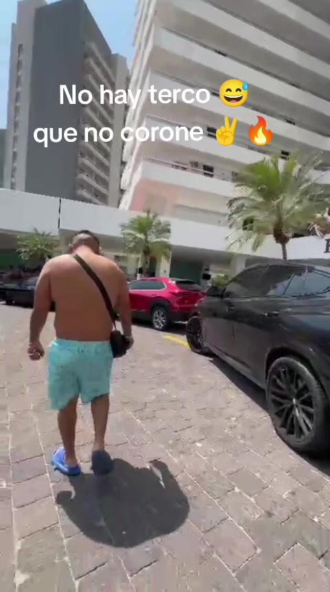 @Choco_trader