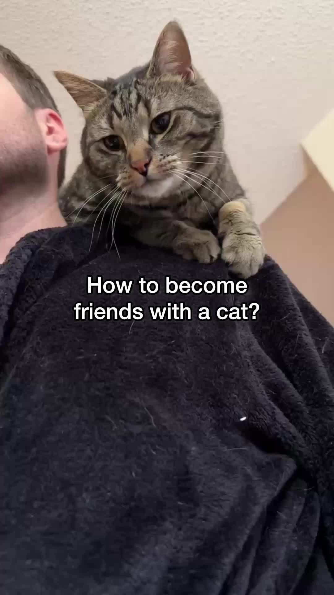 @Chip The Manx