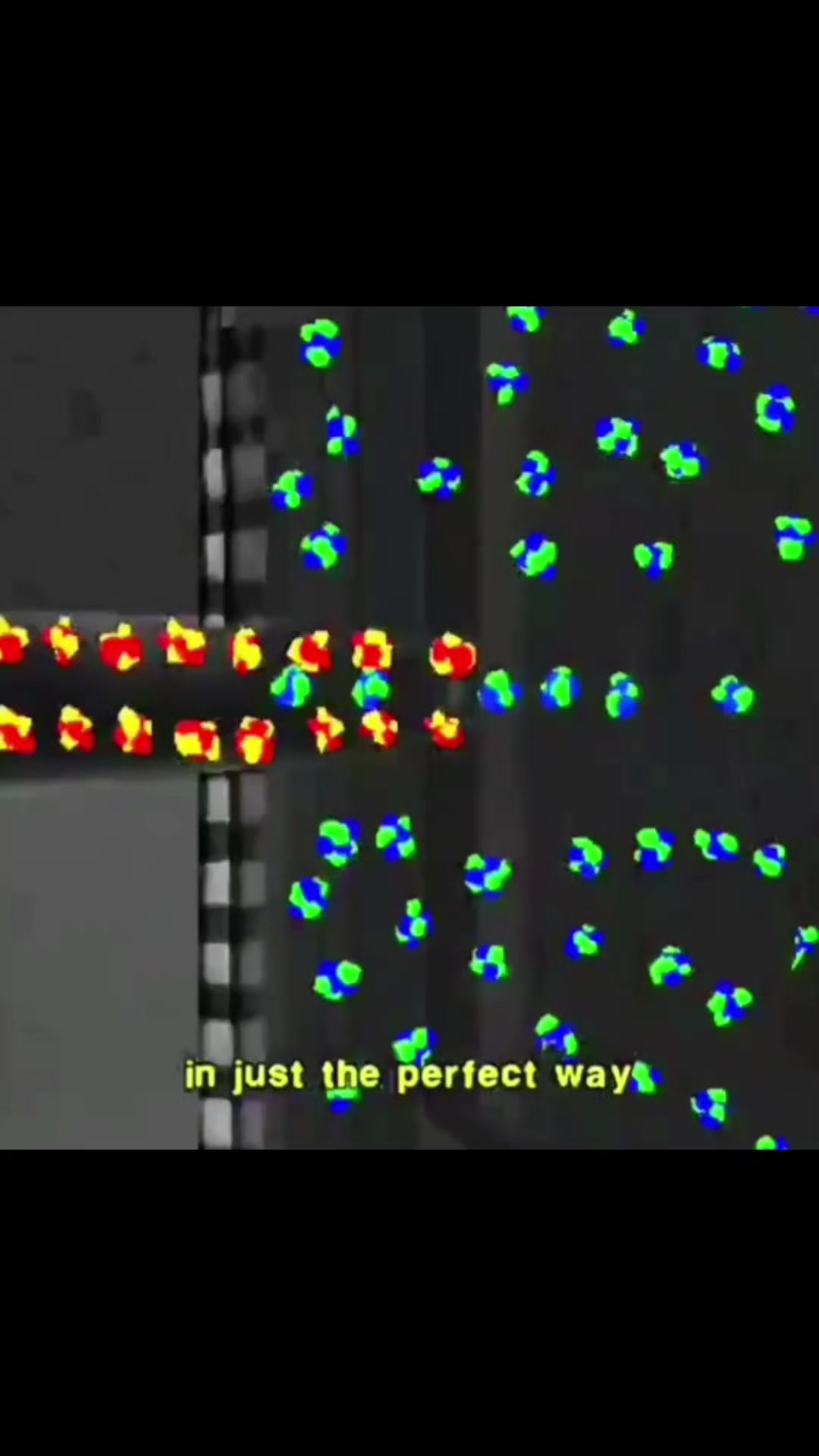 @𝔽𝕝𝟙𝕞𝕚𝕩𝕩