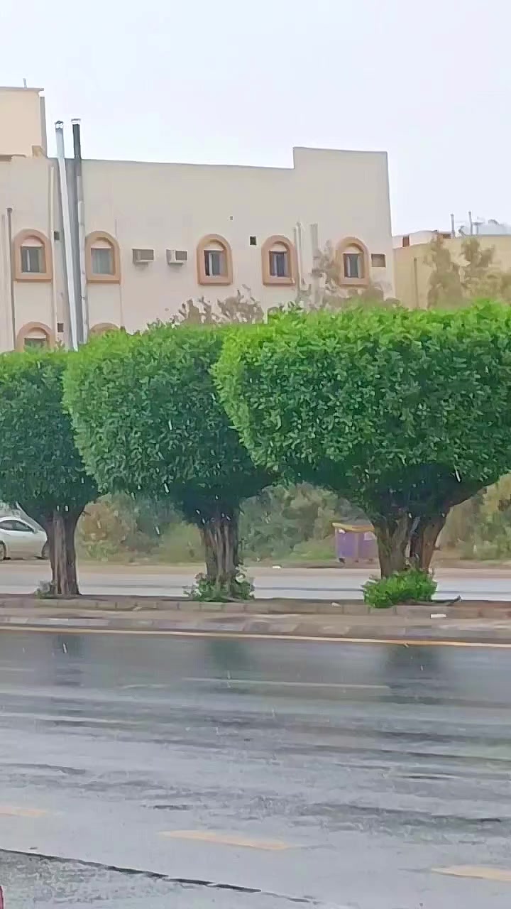 @عبدالكريم بن علي