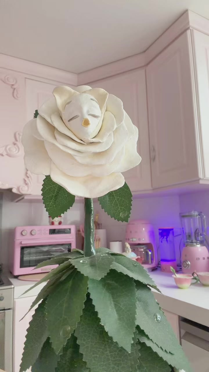 @cherrycute666