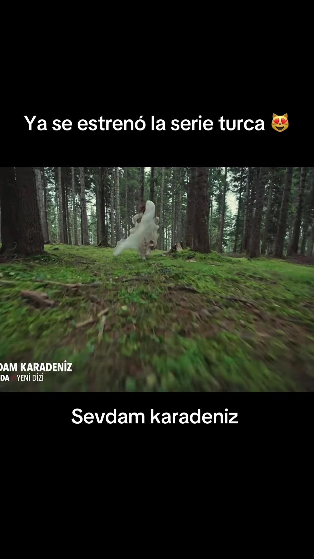 @Verdramas0718