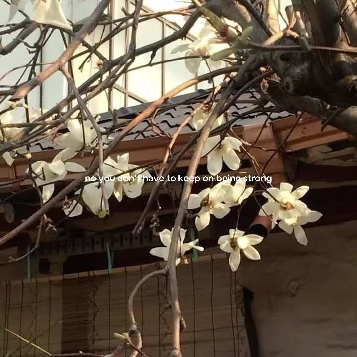 @tay ⋆❀˖°