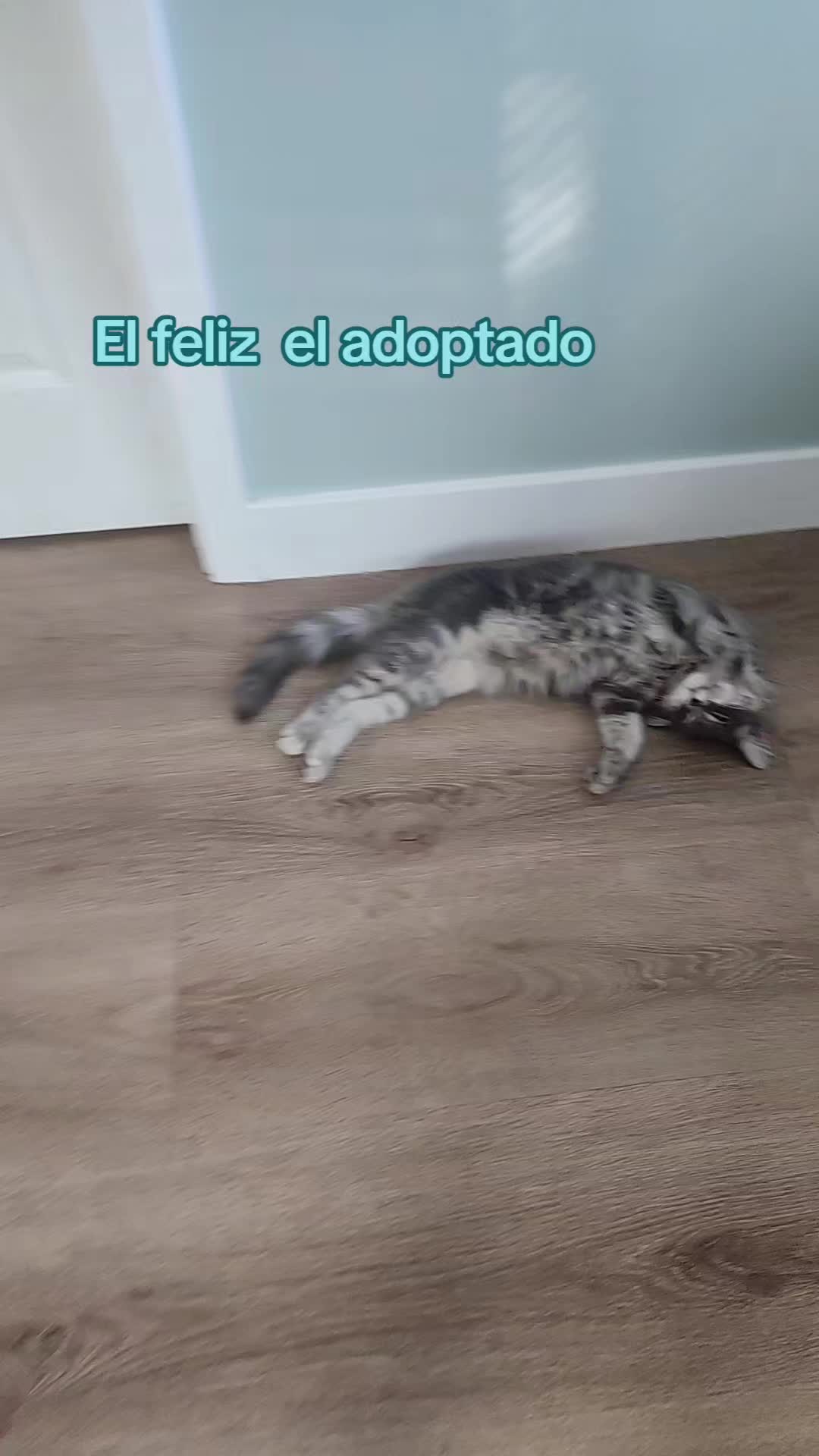 @Susana CR