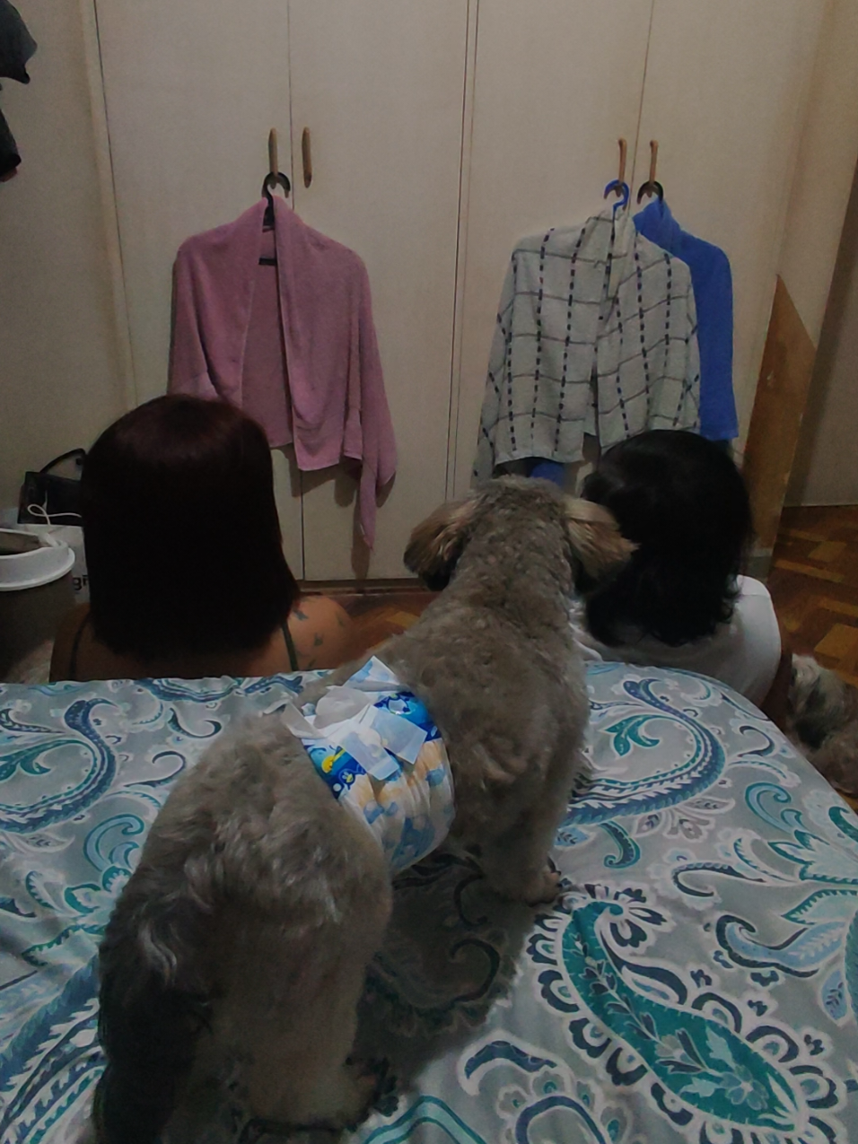 @๐ต๐ญ๐Gee Libao ๐๐ต๐ญ