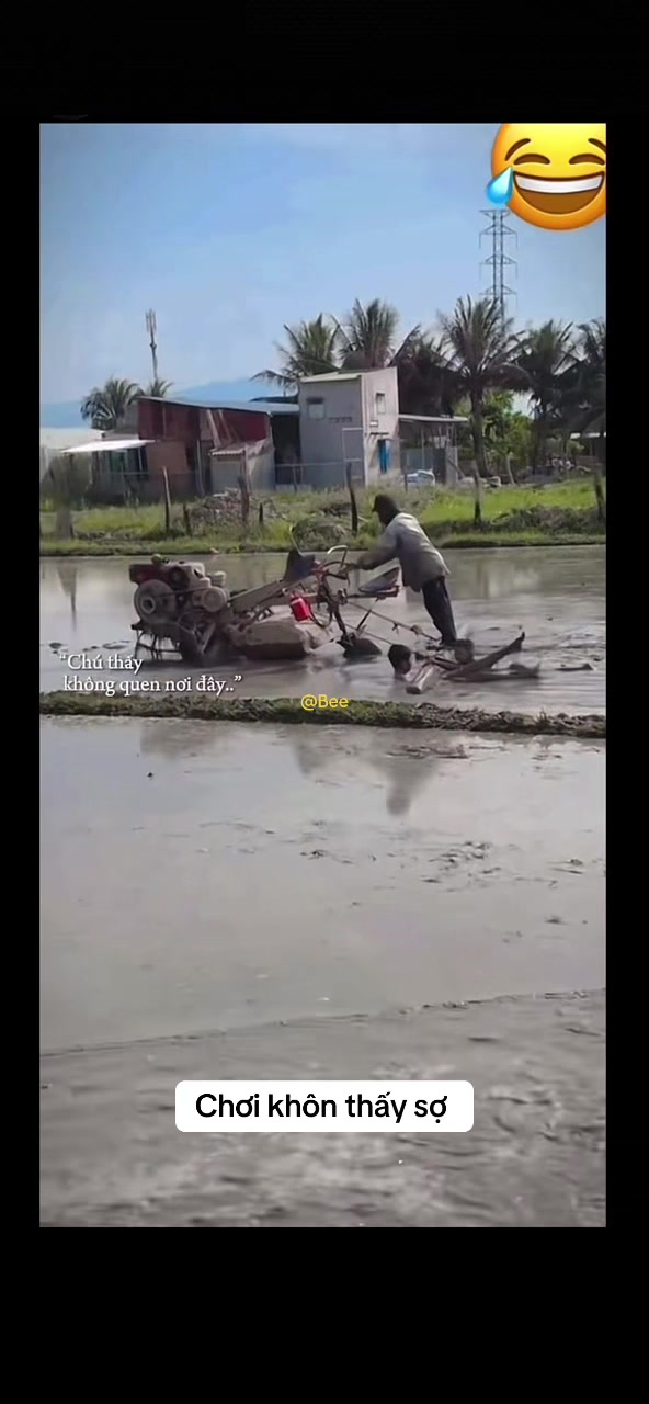 @M&ocirc; Chi Rứa