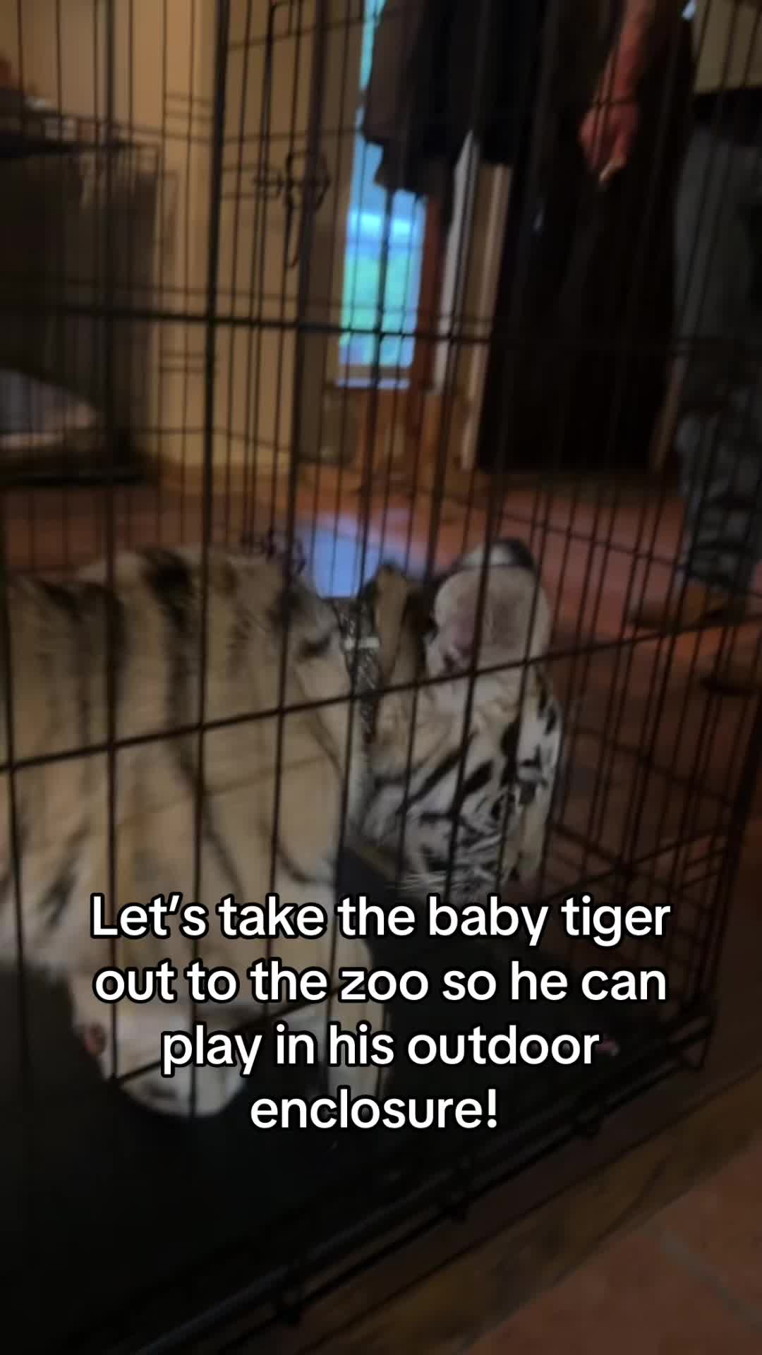 @Texas Wildlife Park