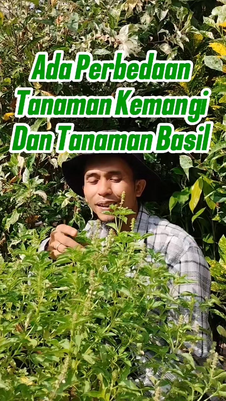 @Bukit Farming