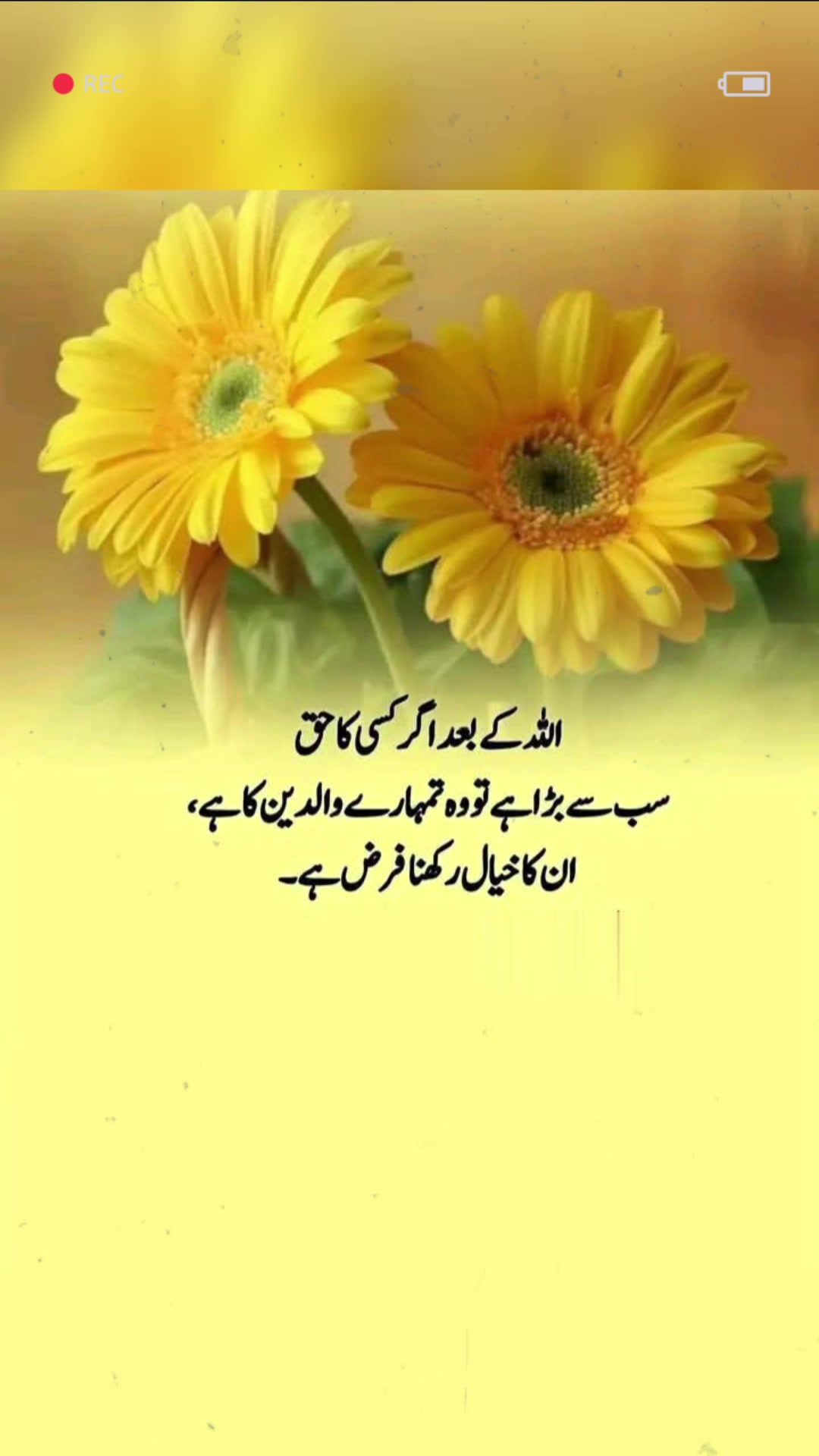 @❦︎❥︎mehar✰༆ ᶻᵘᵇᵃⁱʳ ༎ຶ✰