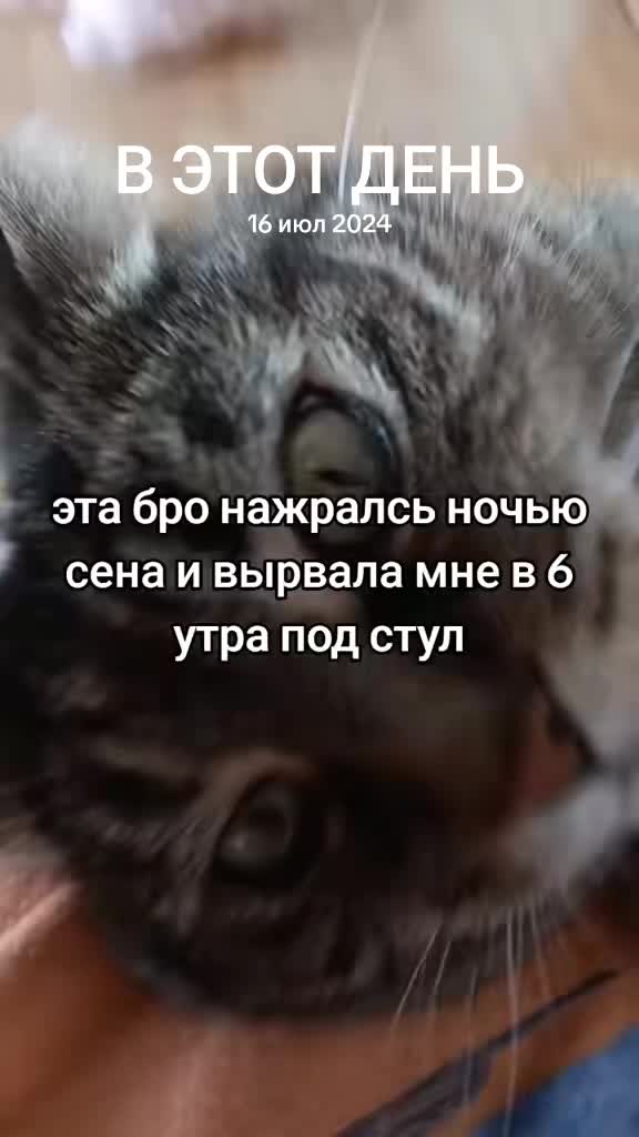 @Хо (｀&omega;&acute;) [🫁📏]