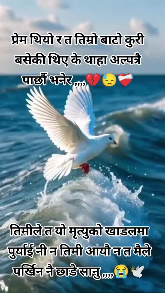@URMI ❣️