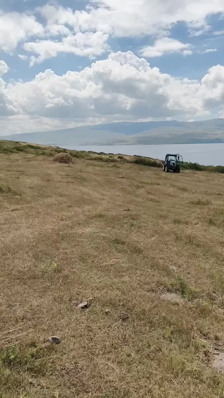 @Göksal Güneş