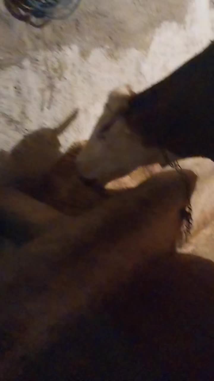 @Deniz G&uuml;ner