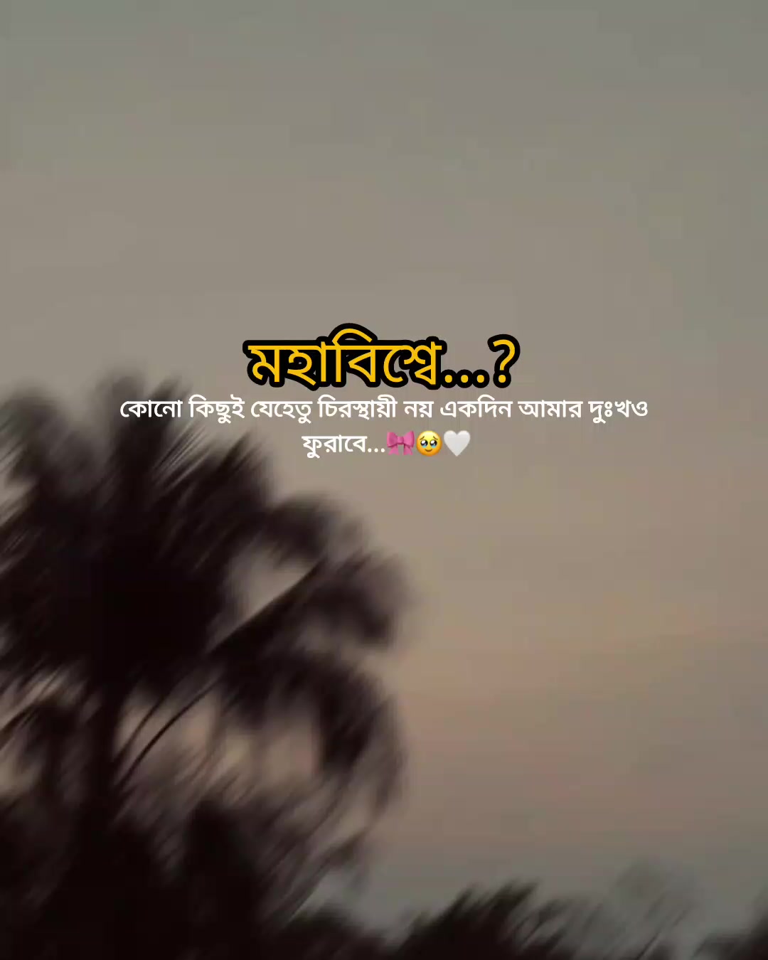 @Rakib Khan