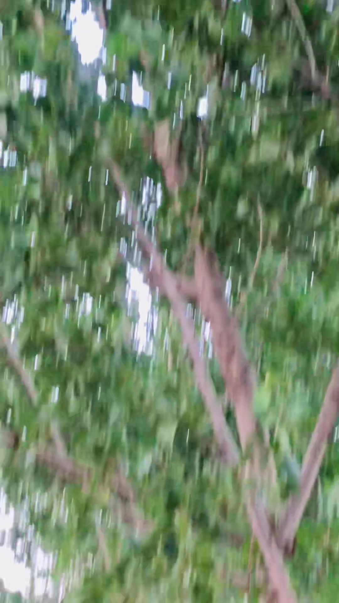@* 🦅 S&acirc;&Icirc;d  &Aring;&ntilde;W&acirc;ر 🦅*