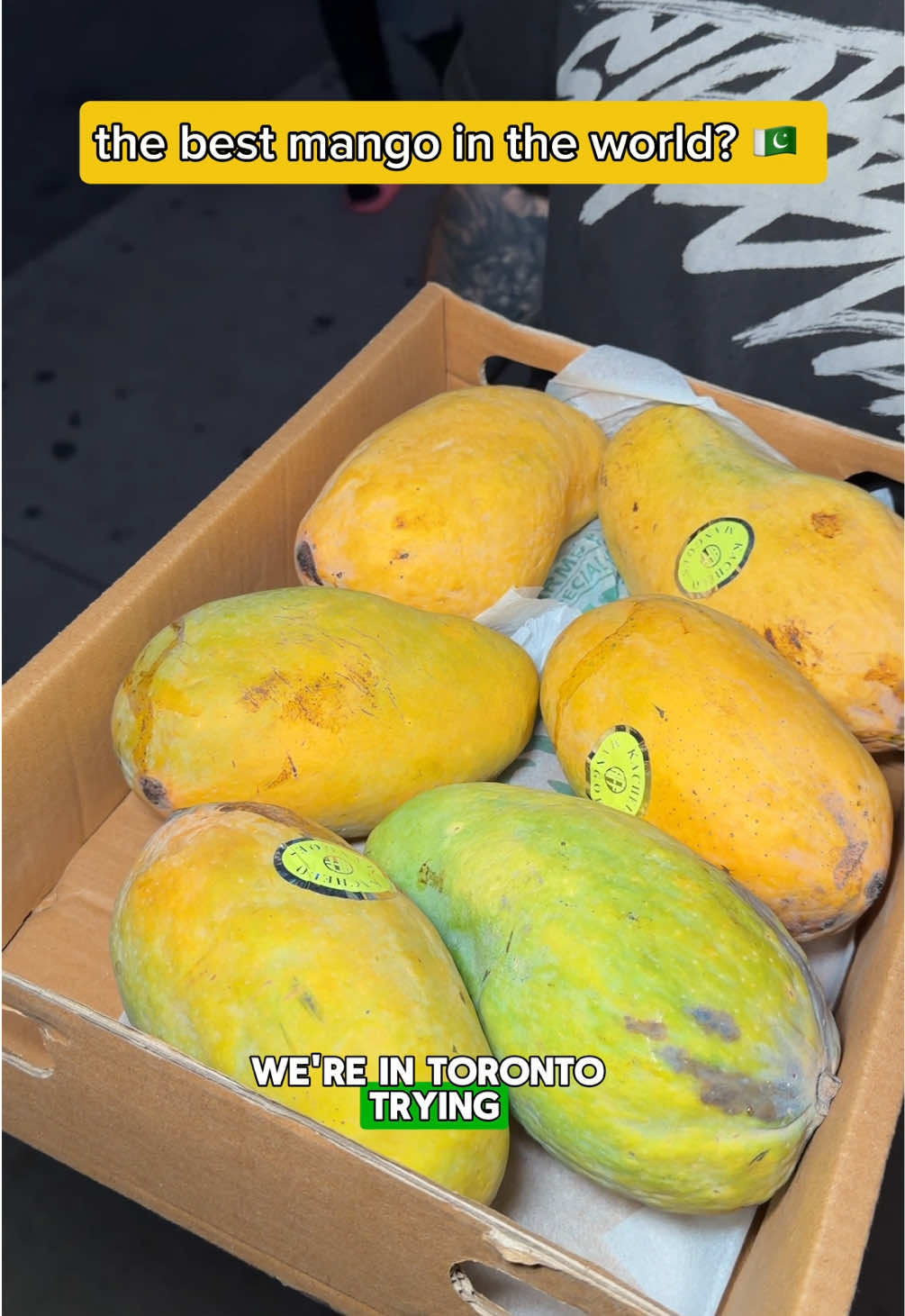 @torontofoodguide