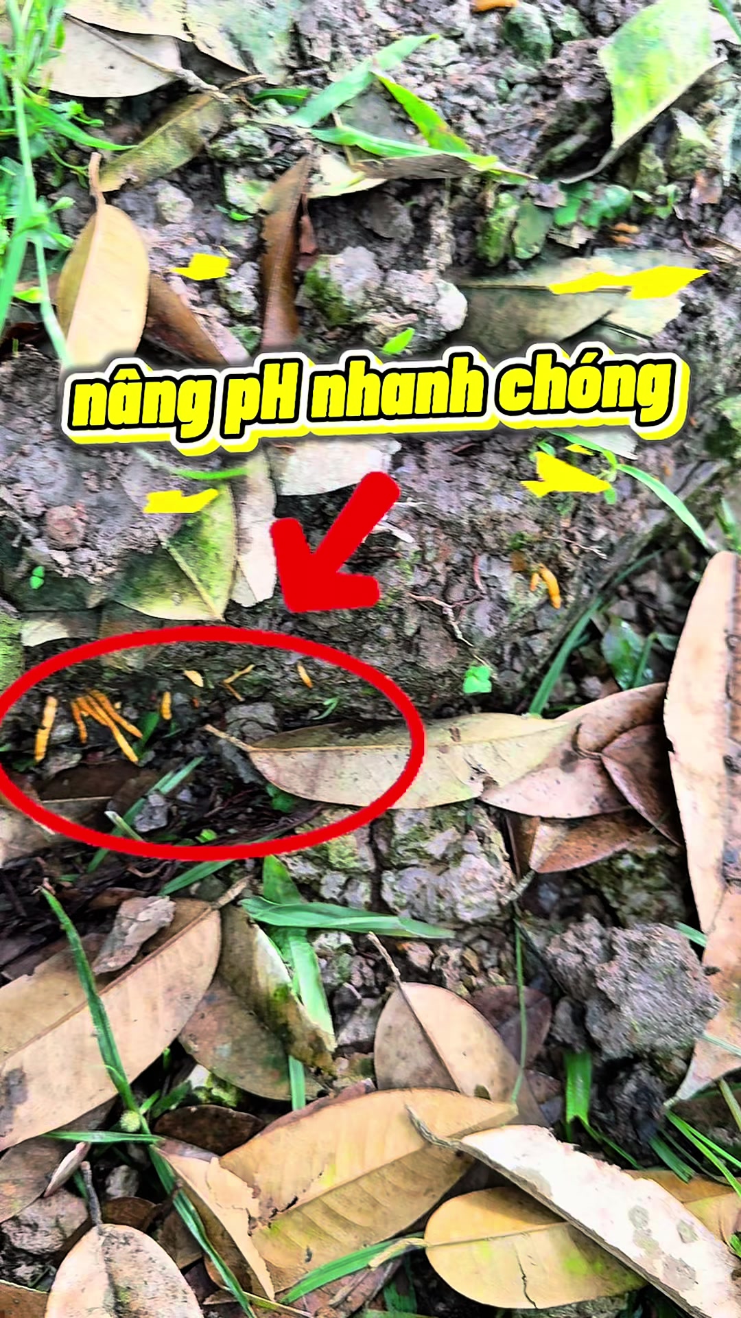 @Hộ Kinh Doanh Hào - Hưng