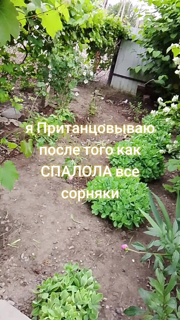 @одна такая