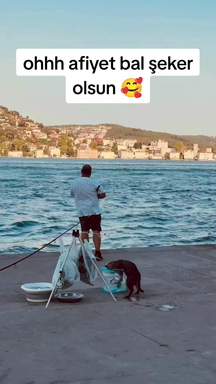@Kader