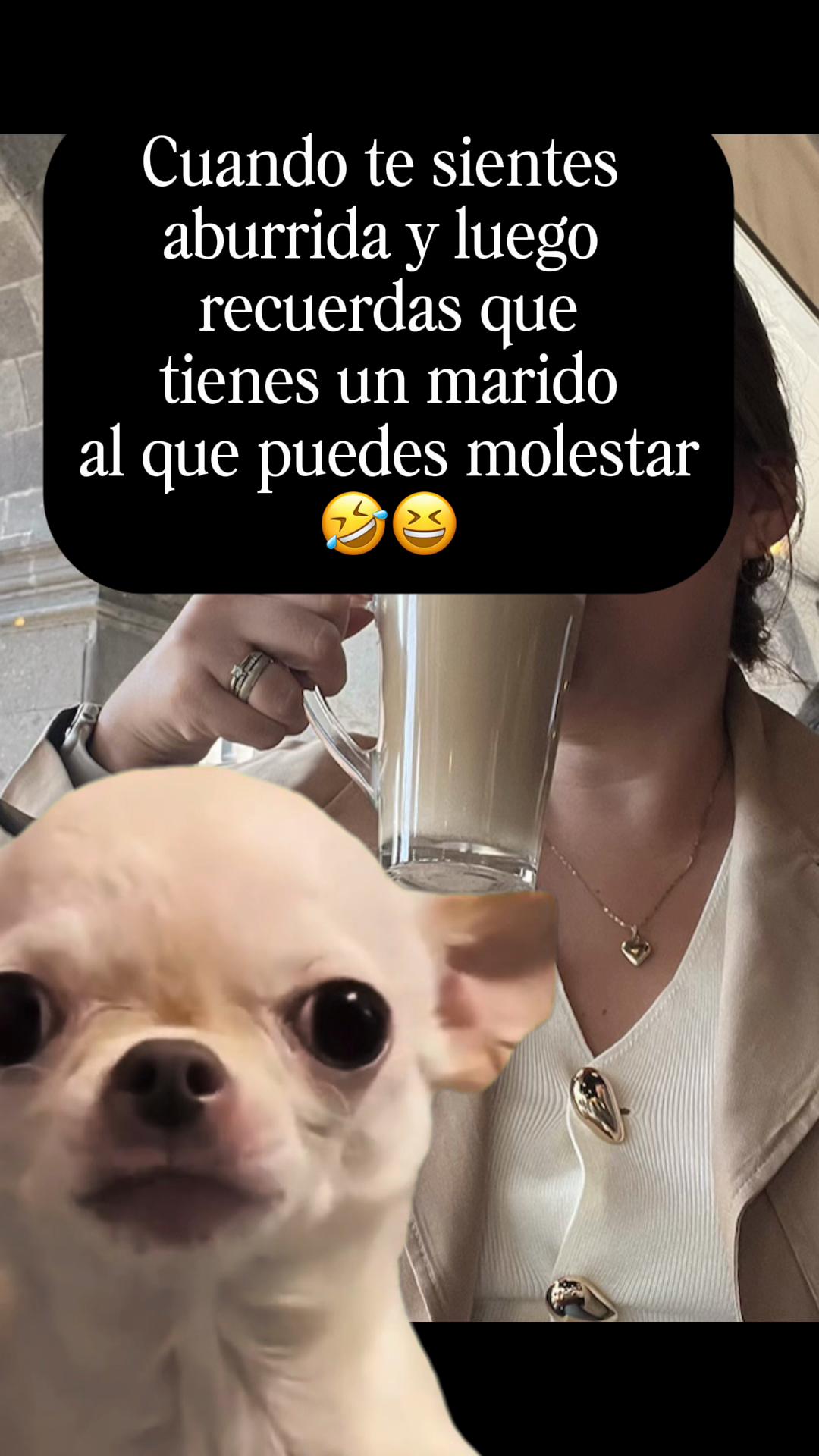 @luzglam
