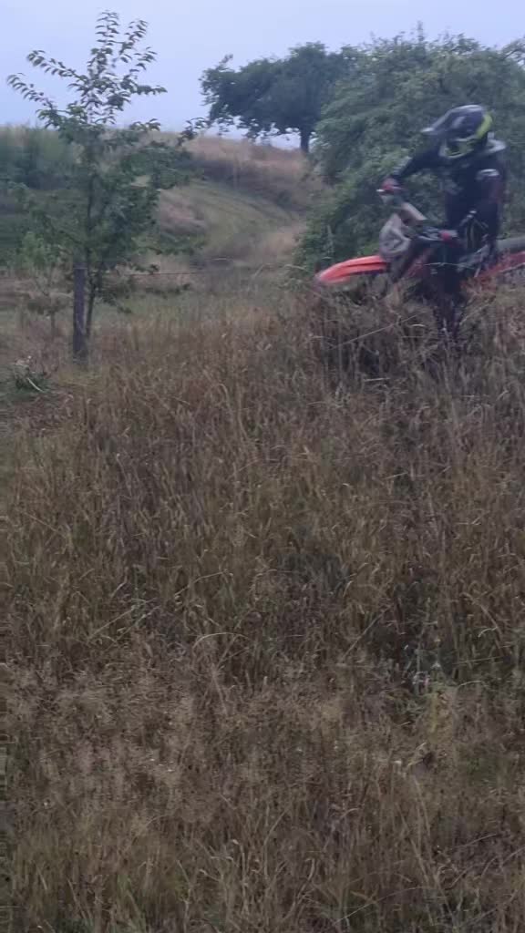@Yamaha/KTM-Lui's proud Mum🤟