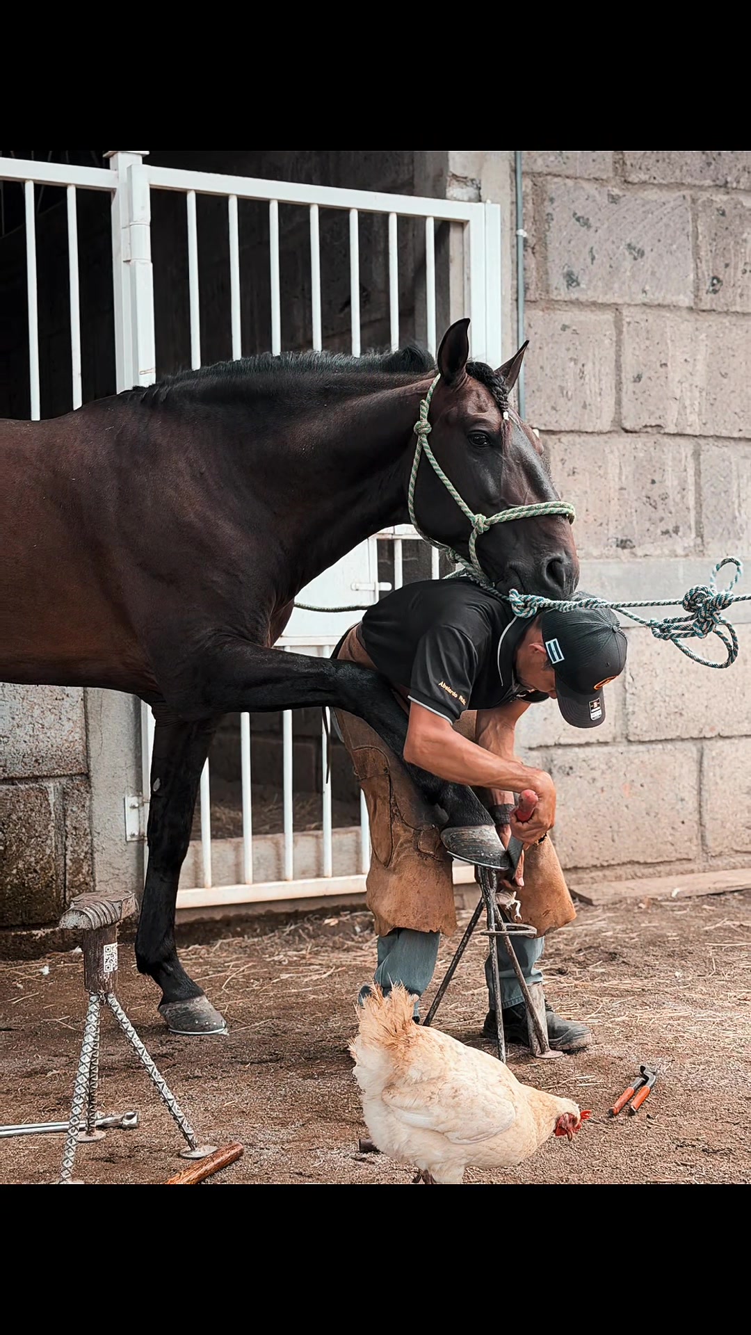 @EQUINOVET NICARAGUA