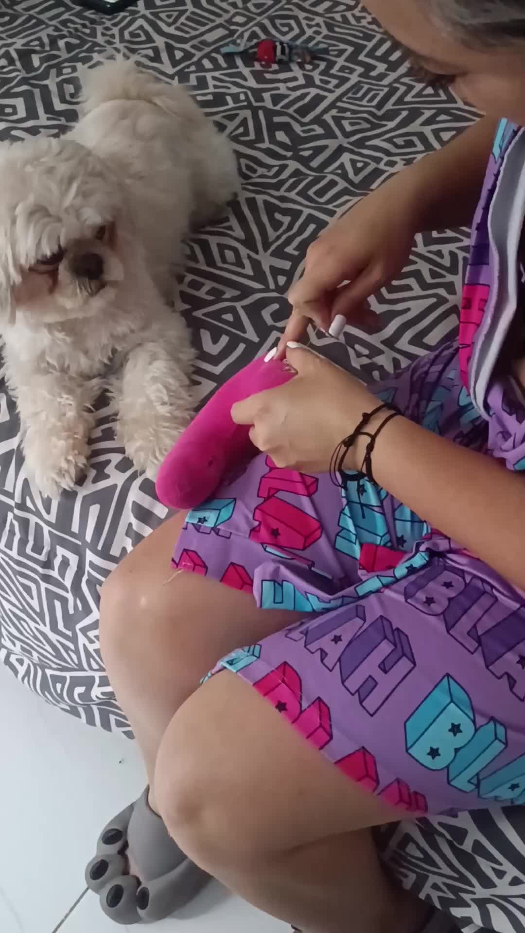 @💓🐶OTTO POLAR 🐶💓