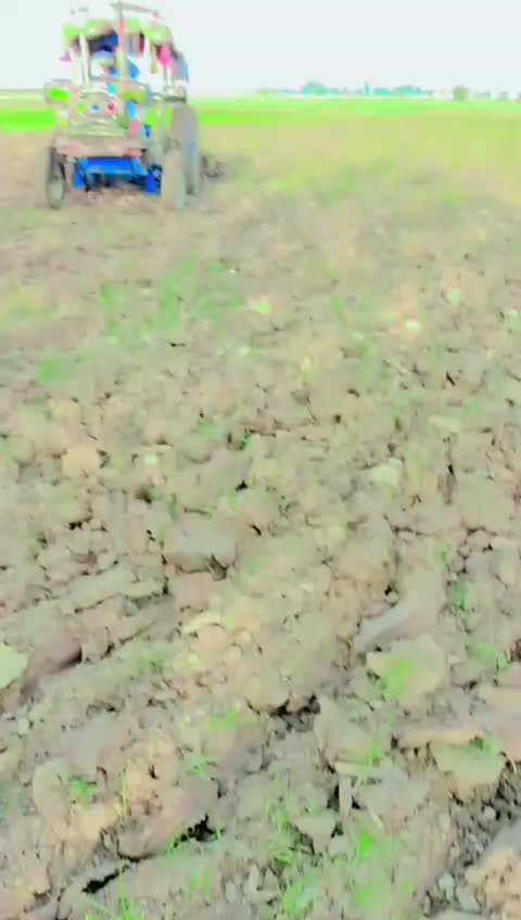 @qalababbas149
