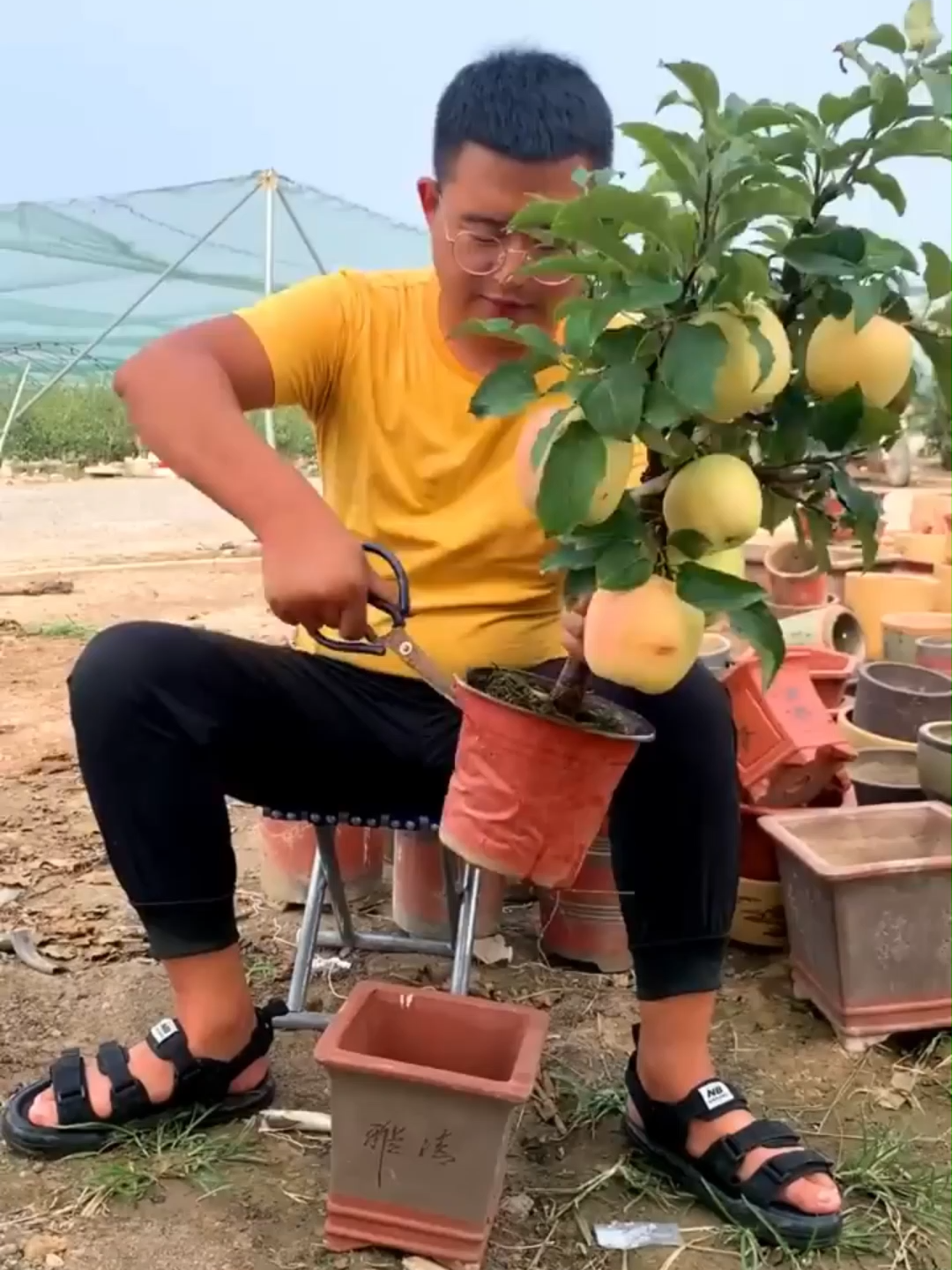 @Tu jard&iacute;n en casa