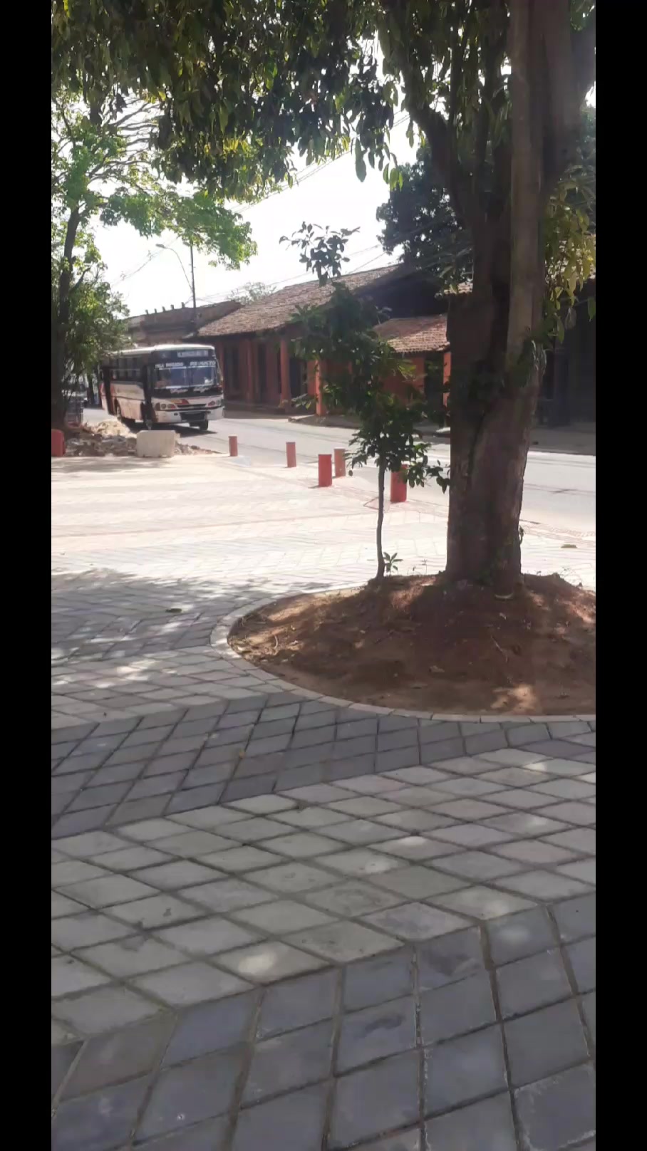 @💯PEDRITO BUSES 🔥 🇵🇾