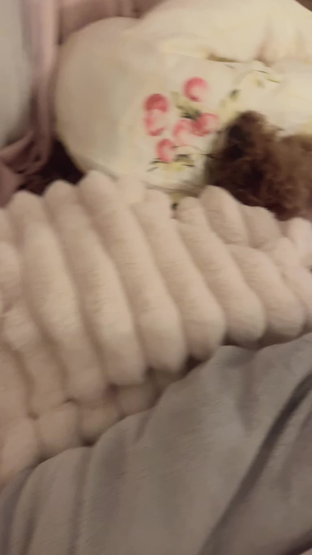 @セレブリティー