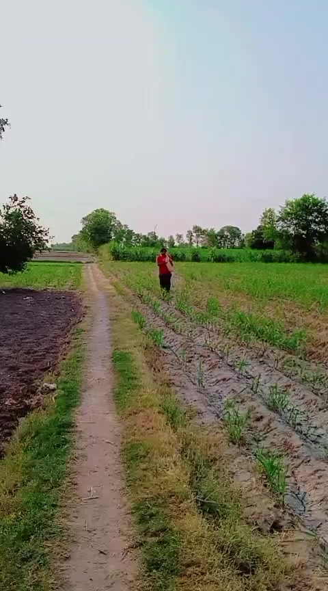 @جانی چٹھہ ــ کوٹلے ــ آلہ143✨✨